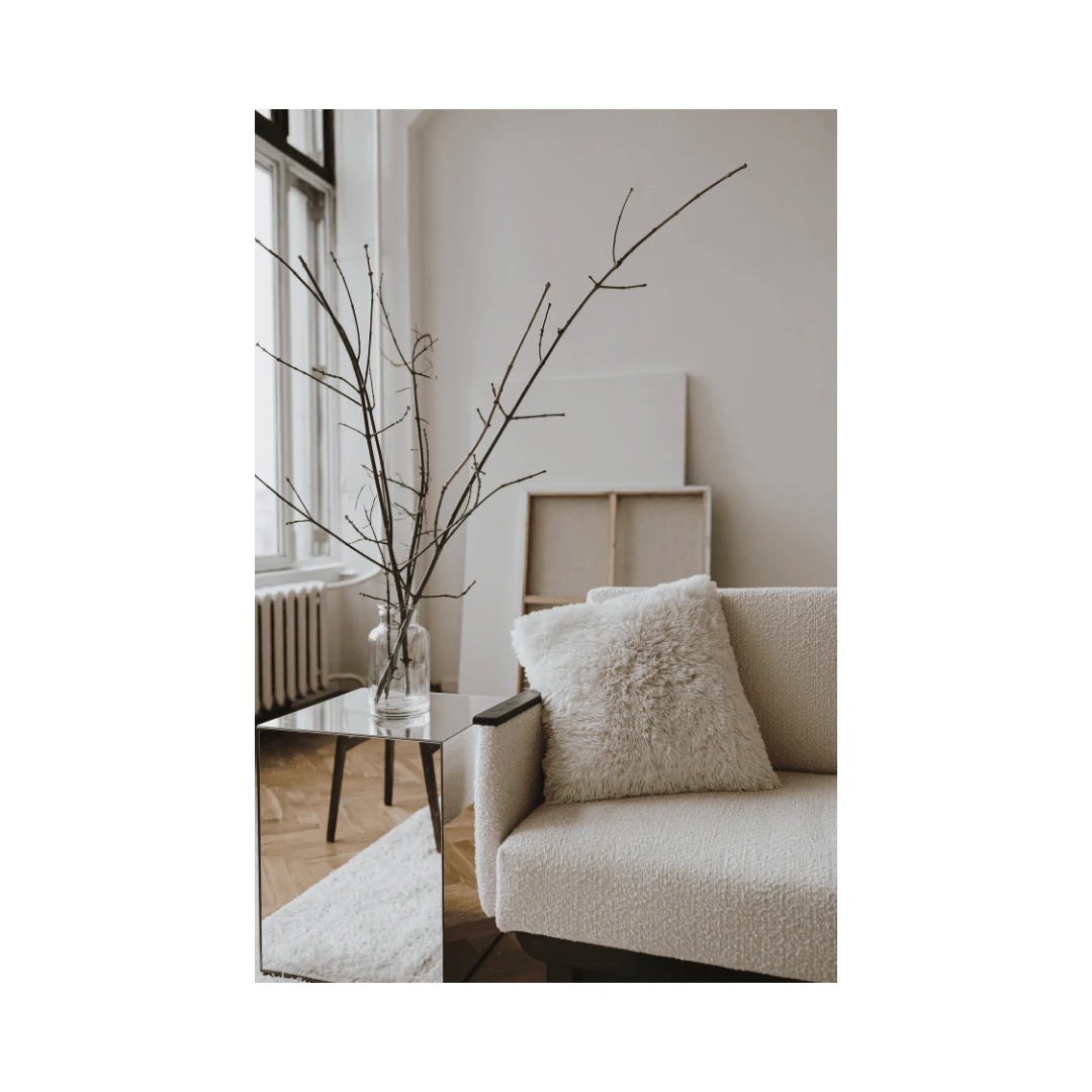 rental property management Adelaide